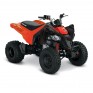 CAN-AM DS 250 INT MY21