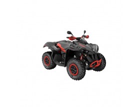 CAN-AM RENEGADE XXC 1000 T MY22