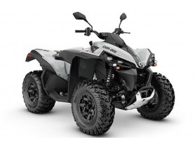 CAN AM RENEGADE 650 STD T MY23